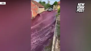 600,000 gallons of red wine flow through Portuguese town after spill, triggers environmental warning