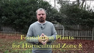 Great Low Maintenance Foundation Plants for Horticultural Zone 8. Part 1