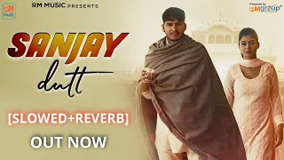 SANJAY DUTT[Slowed+Reverb] | Mitta Bahu Aala|| #newharyanvisong #haryanvisong #newharyanvisong2022