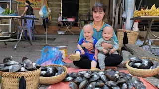 Harvesting Super Large Mussels Going to the market to sell-Cooking for two children |Quan Van Truong