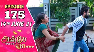 Anbe Vaa Serial | Episode 175 | 14th June 2021 | Virat | Delna Davis | Saregama TV Shows Tamil