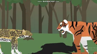 Tiger vs Jaguar