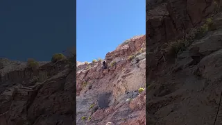 Rampage rookie Talus Turk getting some practice laps in  | 2023 Red Bull Rampage