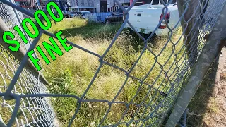 The GOVERNMENT Says MOW Your OVERGROWN Lawn OR Get FINED $1000!