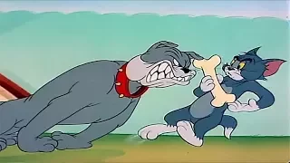 Tom and Jerry English Episodes ⭐The Framed Cat   - Classic Cartoons For Kids