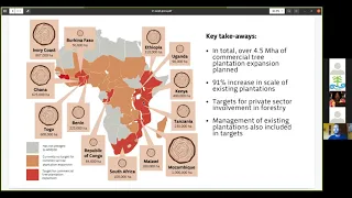 Webinar Plantations vs. regeneration