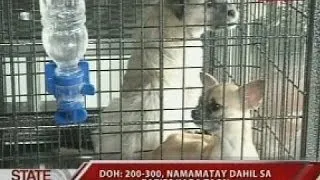 SONA: DOH: 200-300, namamatay dahil sa rabies kada taon