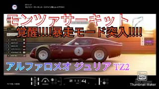 アルファロメオ　ジュリア TZ2♪(Driver ルパン三世)　ヱヴァンゲリヲンの様に覚醒!!!!!暴走モード突入!!!!!!!　敵車に比べて小型車、低馬力のアルファロメオTZ2は勝てるのか？挑戦♪