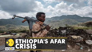 Ethiopia: TPLF accused of killing innocent people in Afar | World English News | WION
