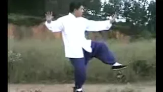 James Fu 85 forms Authentic Yang Style Taijiquan
