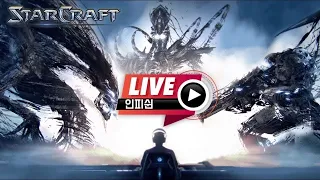 24.04.12(금) 【 인피쉰 생방송 다시보기 】 스타 빨무 스타크래프트 Starcraft