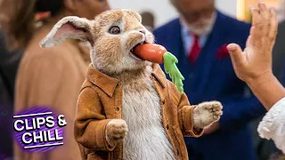 This Rabbit Pretends To Be A Robot | Peter Rabbit | Clips & Chill