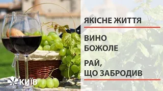 Все, що ви хотіли знати про вино Божоле