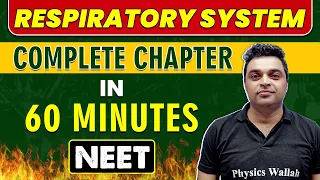 RESPIRATORY SYSTEM in 60 minutes || Complete Chapter for NEET