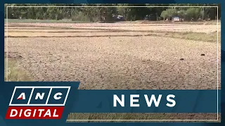 El Niño agriculture damage breaches P1-B | ANC