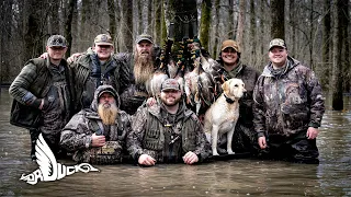 Five Man Limit Of Mallards In The Trees | Dr Duck