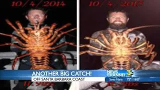 Santa Barbara Man Catches Big Lobster While Diving Off Coast