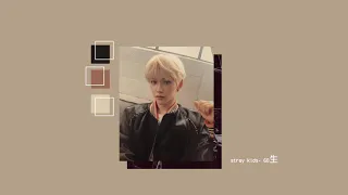 [1시간/ 1 HOUR LOOP] Stray Kids "神메뉴" (God's Menu)