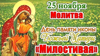 22 ноября икона Божьей Матери «Милостивая». Сильная молитва. Чудеса и традиции православия.