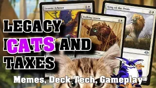 Legacy Death and Taxes, with CATS! MTG Deck Tech and Gameplay