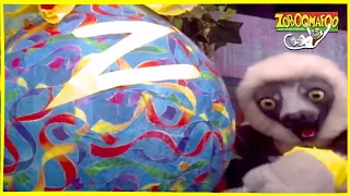 🐒 Zoboomafoo 257 | Super Claw | Animal shows for kids | Full Episodes | HD 🐒