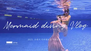 [프따Vlog ] 인어의 펀 다이빙 The Mermaid's Fun Diving | New outfit, 모노핀 monofin, 돌핀킥 dolphin kick