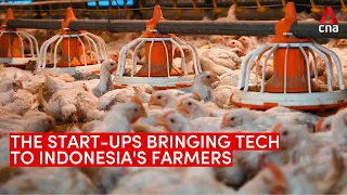 The start-ups bringing technology to Indonesia’s struggling farmers