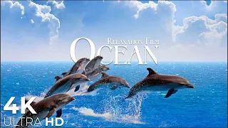 The Ocean 4K - Relaxation Film - Peaceful Relaxing Music - 4k Video UltraHD