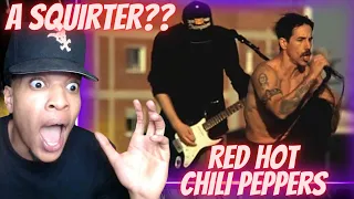 MAGGIE'S A SQUIRTER?? RED HOT CHILI PEPPERS - THE ADVENTURES OF RAIN DANCE MAGGIE | REACTION