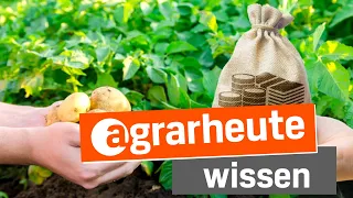 Geld fürs Nichtstun -  Was gegen ein Grundeinkommen spricht