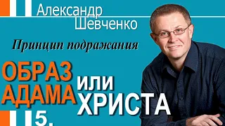 Александр Шевченко│Принцип подражания│Образ Адама или Христа 5