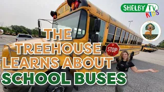 The Treehouse Learns About School Buses | School Buses for Kids & Toddlers | School Bus Rules