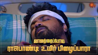 ராஜபாண்டியை பார்க்க வந்த துளசி  - Semma Scenes | 07 September 2023  | Sun TV | Tamil Serial