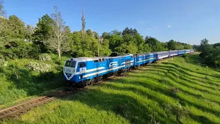 TE33AC-3011 [CFM] Passenger train | Пассажирский поезд