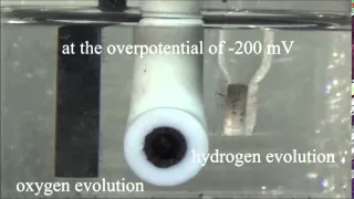 Local atomic structure modulations activate metal oxide as electrocatalyst for hydrogen evolution...