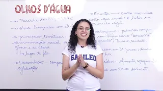 Olhos D'Água - Conceição Evaristo - Unicamp 2024 - Aula Completa