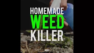 Homemade Weed Killer