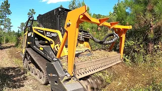 A MILLION LITTLE TREES VERSUS ONE BIG ASS MULCHER! MASSIVE 3 DAY CLEAR-CUT MULCHING PROJECT!