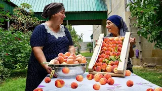 Making Delicious Peach Recipes | Calm Village Life