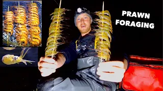 PRAWN FORAGING - BBQ Prawn Skewers at 4am , Lobsters , Cuttlefish & Lots of SEA LIFE