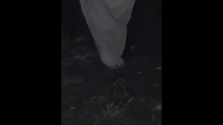 Heboh!!..Video pembuktian kaki kuntilanak tidak menyentuh tanah 👻😱.