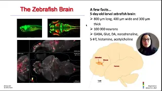 EJP RD Use-case: Zebrafish