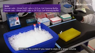 Using TotalSeq™ Antibodies for CITE-Seq