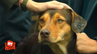 A Dog's Way Home - Standing Up to the Dogcatcher Scene