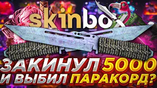 ВЫБИЛ ПАРАКОРД ЗА 19000 РУБЛЕЙ НА СКИНБОКС? SKINBOX ЗАКИНУЛ 5000/ НЕ КЕЙСБАТЛ КСБАТЛ CASEBATTLE