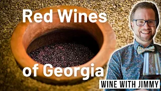 🍷Exploring Georgia's Red Wine | Wines of Georgia Series 🍷