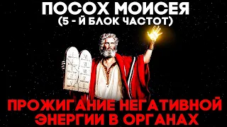 🔥Посох Моисея - Чистка Органов, Чакр, Меридиан | Медитация Очищения От Негатива