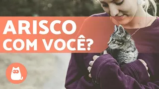 MEU GATO NÃO GOSTA DE MIM? 6 causas e soluções