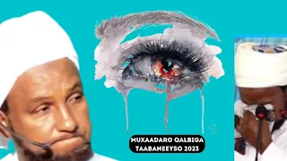 Muxaadaro Qalbiga Taabaneeyso 2023 || Sheekh Xuseen Cali Jabuuti