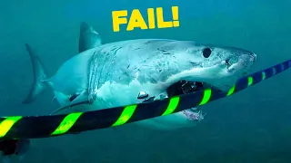 Why GIANT SHARKS Can No Longer ATTACK UNDERSEA Internet Cables